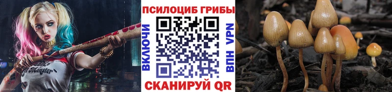 OMG tor Ржев Галлюциногенные грибы ЛСД